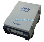 PicoCell 900 SXV